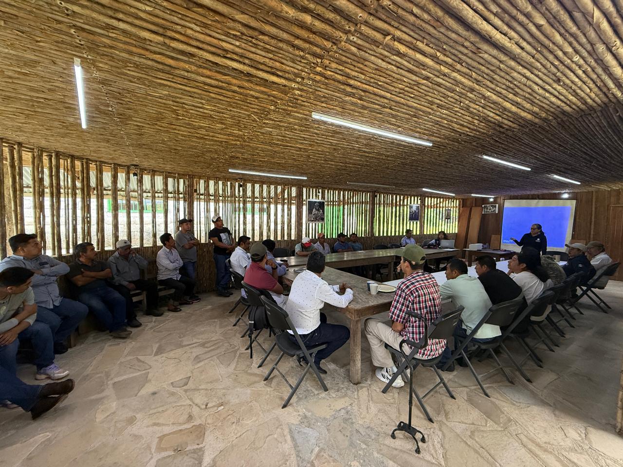 20a Sesión Ordinaria del Consejo Asesor de las APFF Nahá y Metzabok