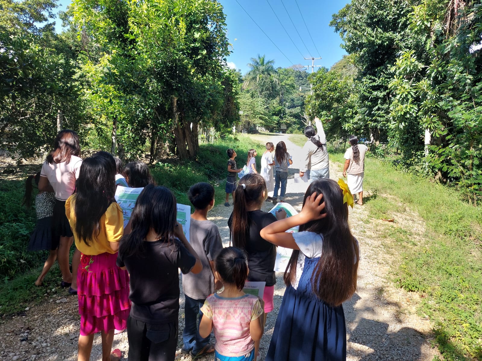 “Una Aventura con Plumas: Pajareando con los Pequeños Guardianes”