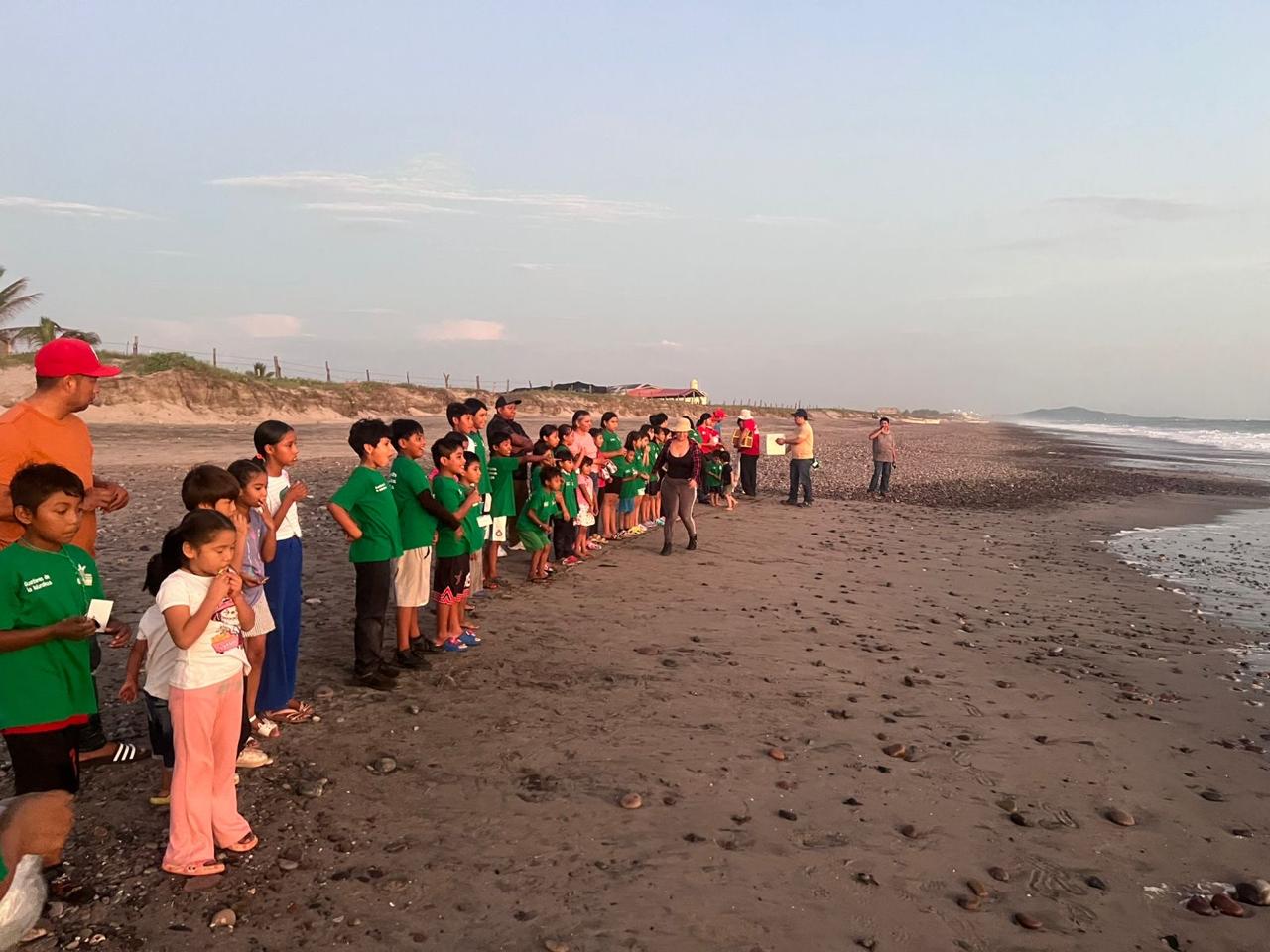 "De la arena al océano" Liberación de crías de tortugas marinas.