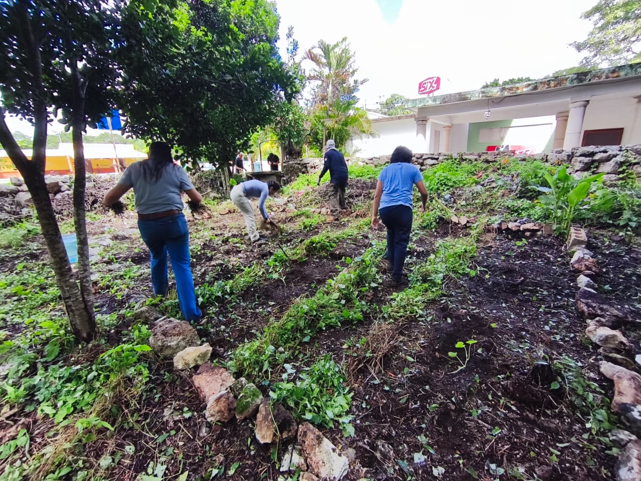CURSO-TALLER Implementación de huertos de traspatio agroecológicos