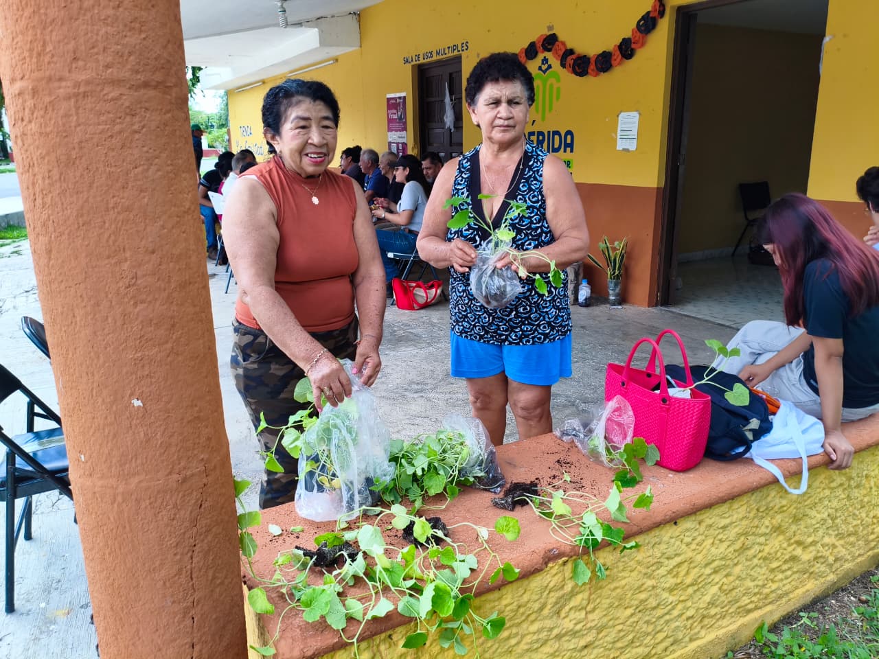 CURSO-TALLER Implementación de huertos de traspatio agroecológicos