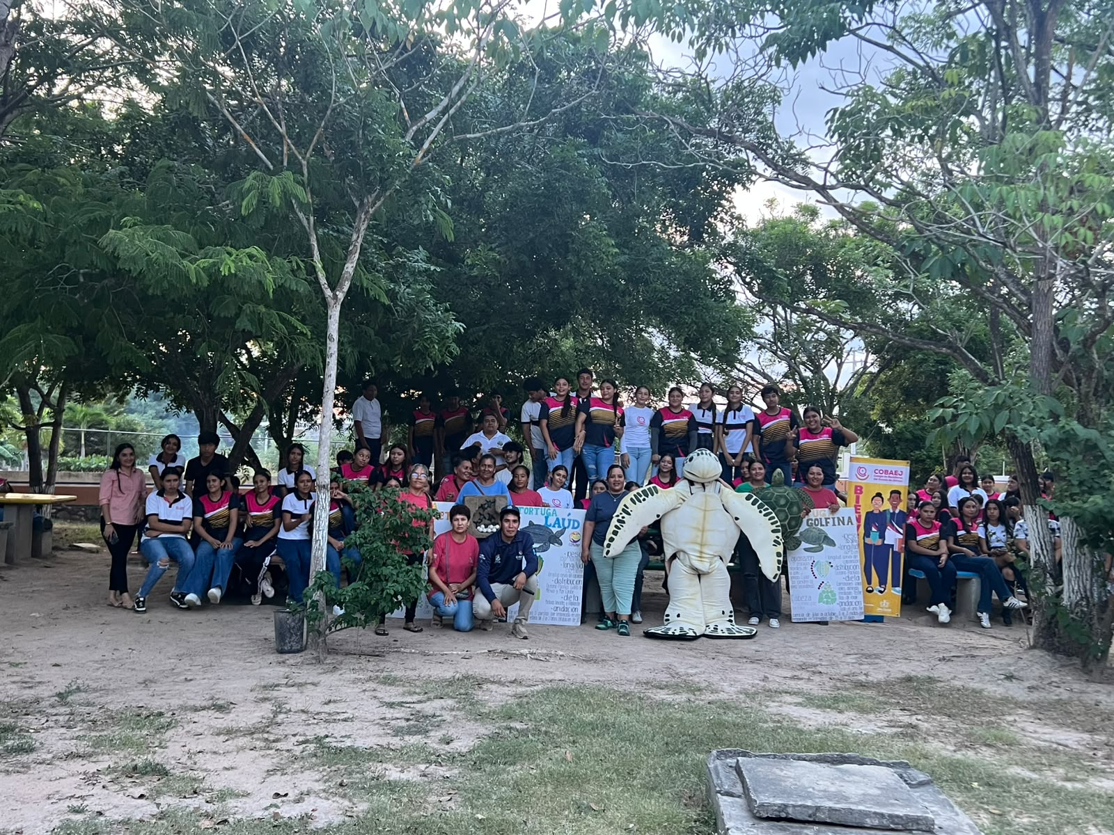 Taller  las tortugas marinas Unidos por nuestras costas