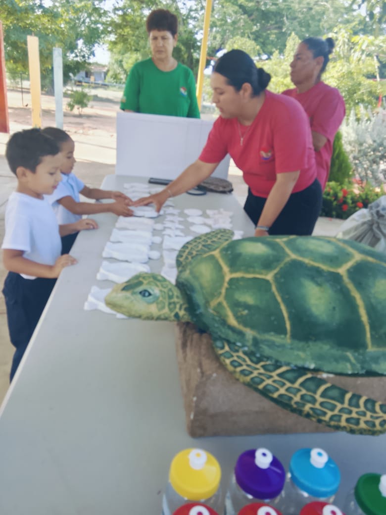 la vida de la Tortuga Marina