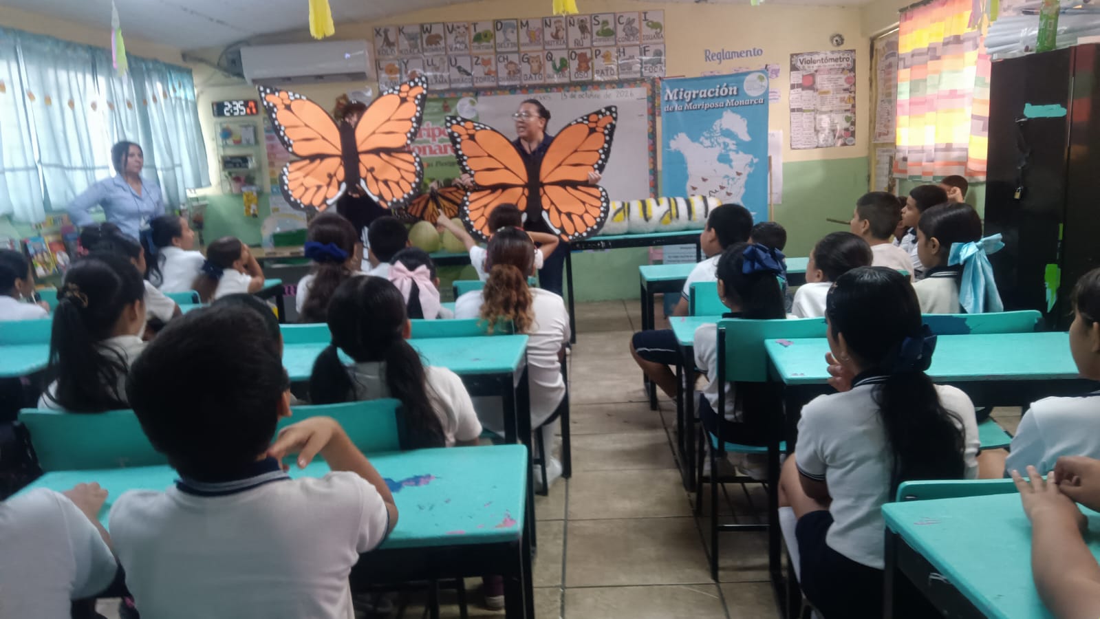 Conociendo a la mariposa monarca y su ciclo de vida