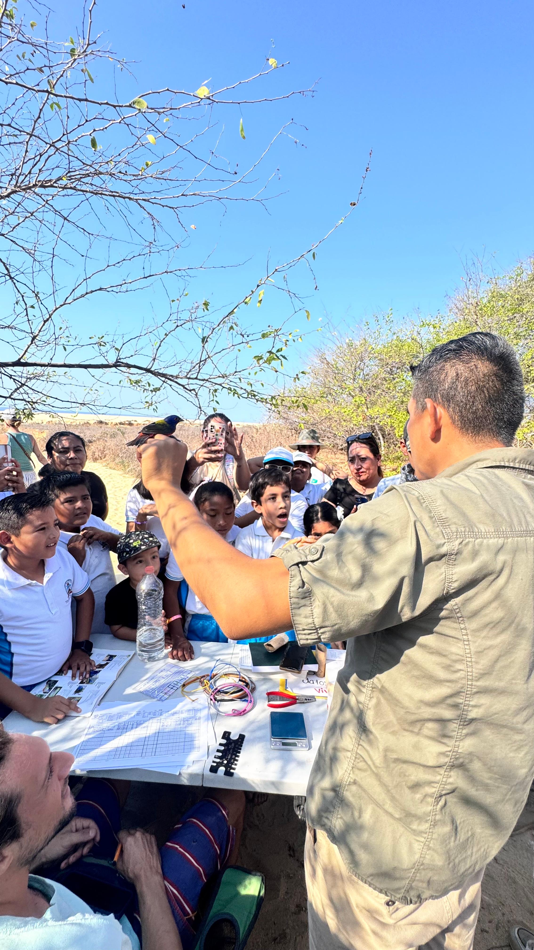 Aves Costeñas: Monitoreo comunitario de aves en la costa de Oaxaca, México, por medio de estaciones de anillamiento científico.
