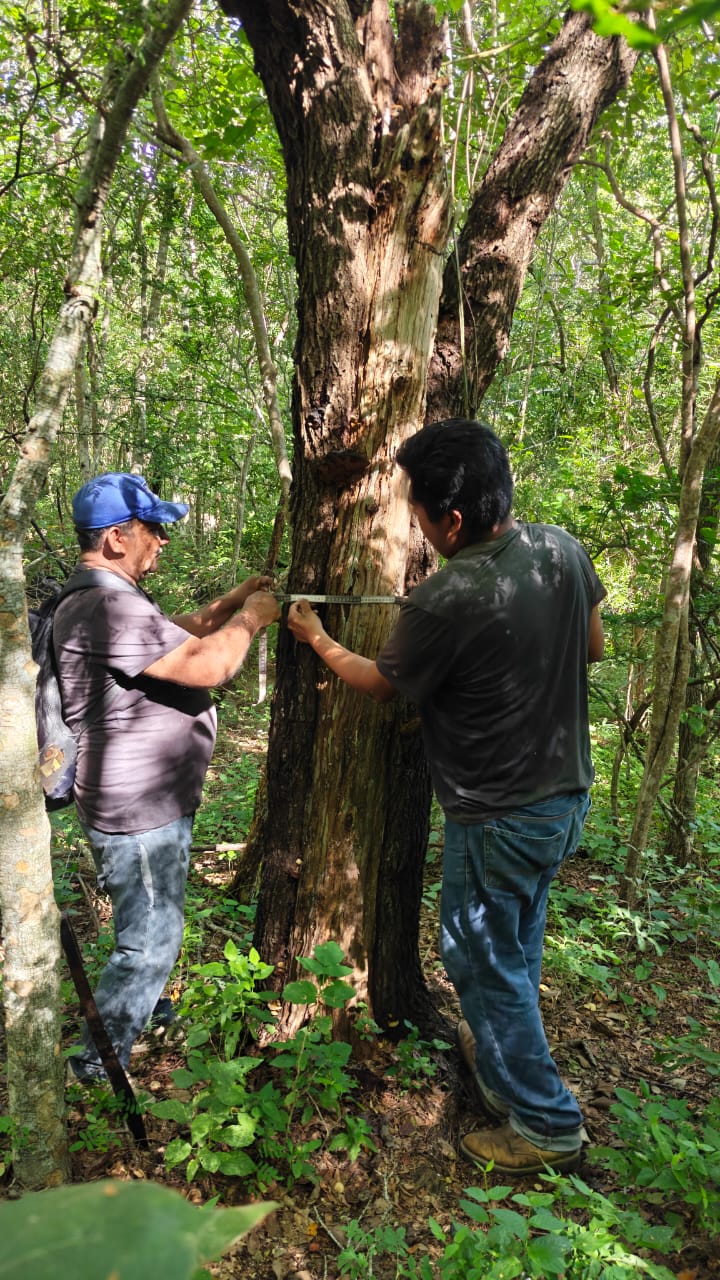 Capacitación y monitoreo ecosistémico comunitario en la ADVC Reserva Comunal Mascalco